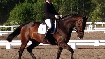 Vann. Cecilia Christensen och Florett vann två klasser under tävlingarna förra helgen.