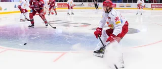 Prestigemöte för Almtunas djurgårdare – åkte med pappa till Hovet • ”Inga superhjältar vi möter”
