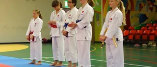 Många medaljer i karate till Inyon