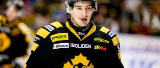 AIK-floppen återvänder till Europa – klar för spel i tyska ligan: ”En pålitlig veteran”