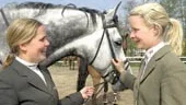 Helena Lundbäck och Malin Baryards närvaro på Norrköping Horse Show är uppskattat. Här diskuterar de framför Helenas kusin Vivekas häst Come On.
FOTO: JANNE FORSBY