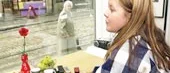 Vållar norsk/svensk spricka