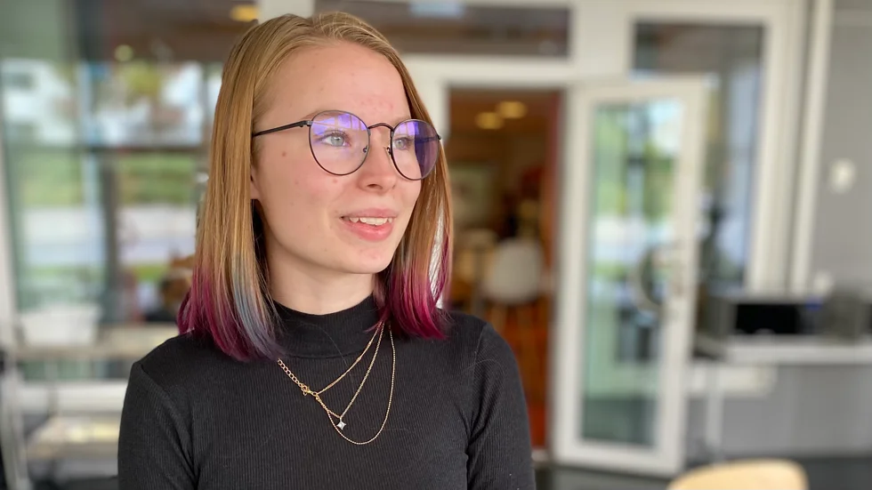 Linnea Trosell-Joknesjö, går på teknikprogrammet inriktning design och produktutveckling. Hon tycker att de politiska diskussionerna har delat upp klassen i två grupper.