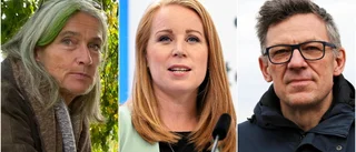 C-företrädare i Motala efter Lööfs avgångsbesked: "Visst hade hon kunnat sitta kvar"