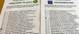 Nya politiker kryssade sig förbi förstanamnen - "Det är nog många som vet vem jag är"