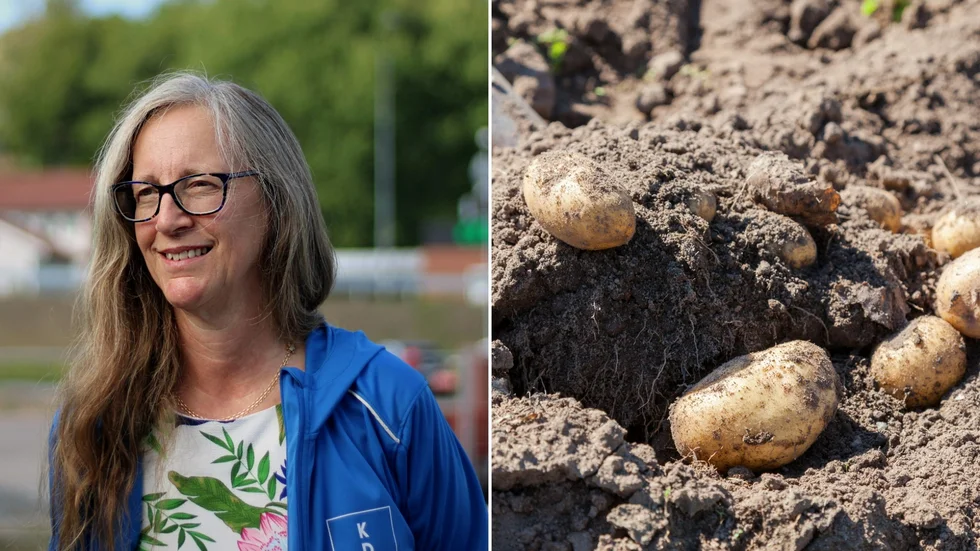 Lena Käcker Johansson (KD) vill göra det enklare att välja lokalproducerad mat samt utöka utbudet på hämtmat i Rimforsa. Dessa två ämnen skriver hon om i två motioner. Båda två har nu fått avslag i kommunfullmäktige.