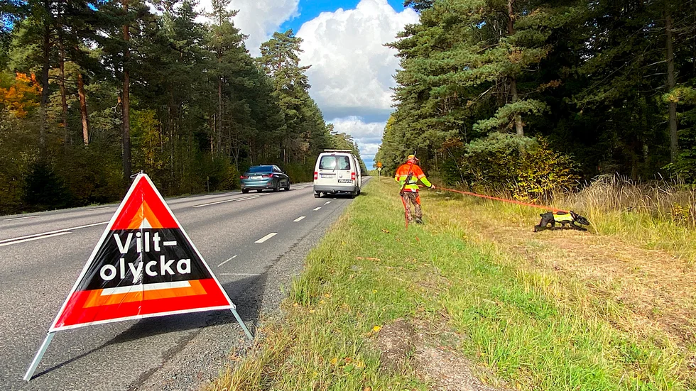 Två viltolyckor har inträffat i Västerviks kommun.