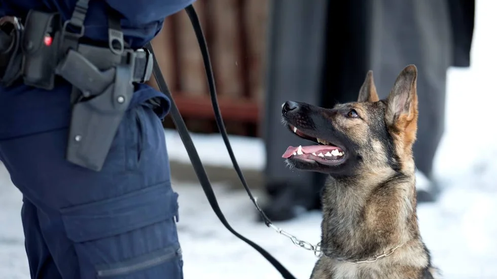Polishund. Organisationen hos polisens hundförare och det har skapat en del oro hos hundförarna.