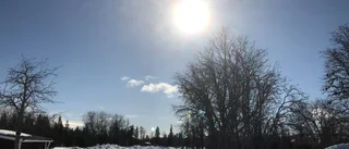 Vackert i Norra Näverliden