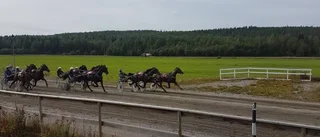 Hemmakuskarna spårade i 2-års