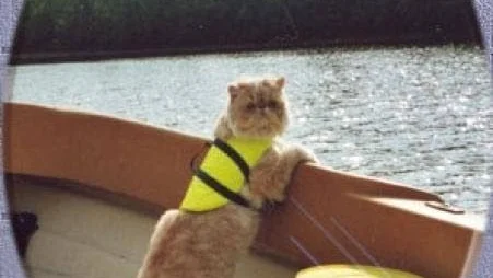 Luddwigs tid till sjöss är slut.