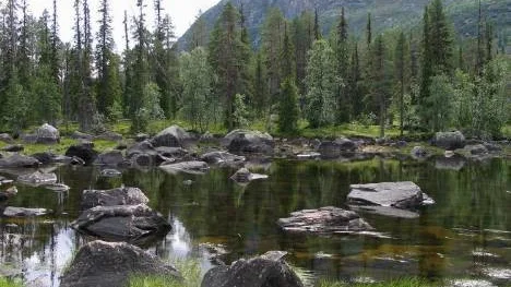 Mattaureälven-Båldakatj är ett av områdena på Fastighetsverkets marker som i och med regeringsbeslut får ett långsiktigt skydd. Området ligger i Arjeplog och är en utvidgning av det befintliga naturreservatet Ståkke-Bårgå fjällurskog.