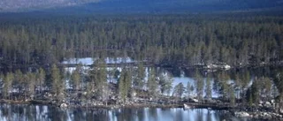 Norrbotten får 31 nya naturreservat
