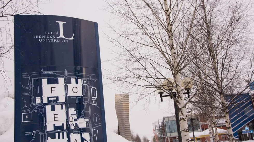 "Speciell".
Luleå universitet är en "speciell arbetsgivare" menar advokat Michael Fischbein.
