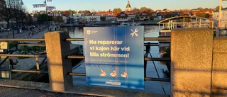 Svanar och doppingar hänvisas till Stora strömmen • Kommunens annons har fått uppmärksamhet på Facebook