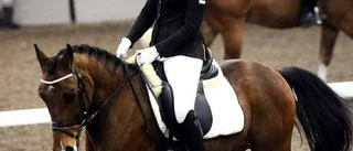 Sista svängen med ponny