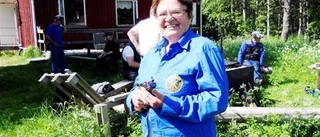Ingen bom för Palmblom