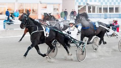 tuff kamp. Patrik Nygren och Livi Destiny vann V4-2 och kunde ge kompisen Krister Söderholm en näsbränna.Foto: Karl-William Sandström/eurobild