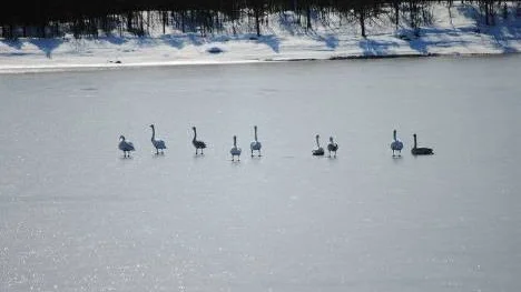 Kallt om fötterna? Bilden är tagen i Rebnis, Arjeplog.