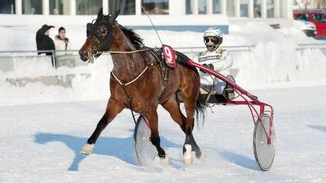 HEMMASEGER. Instant Karma, tränad av Stefan Axelsson från Boden, vann tredje loppet i gårdagens V4.