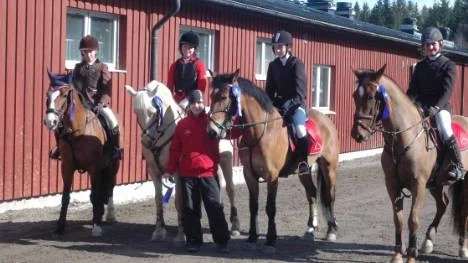 Norrbottens ponnyallians red hem andraplatsen i ponnyallsvenskans andra omgång. I laget red Olivia Nordberg/Pepita, Denice Johansson/Exilia, Frida Andersson/Munsboro Sirocco och Linn Holmbom/Curry. Med på bilden är även lagledaren Ida Lindgren.