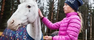 "Lotus kan vara en tjurig liten tant"