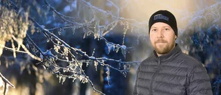Kurirens krönika tog internet med storm