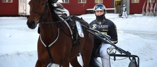 Här är de nominerade till Travgalan