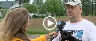 TV: Jakthund bet ihjäl chihuahua