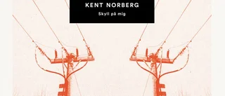 Skivrecension: Sydstatskänsla på svenska, med (lite) hjälp från Luleå