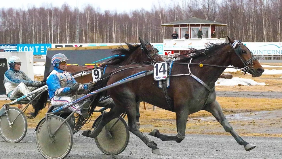 Spurt. Cool Hall och Lasse Marklund spurtade till säker och överraskande seger i V5-3.