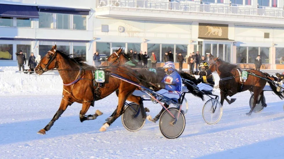 Vinnare. Jens Eriksson och hästen Notoriuos Face gjorde et strong insats på Bodentravet.
