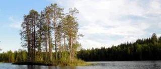 Dagens väderbild