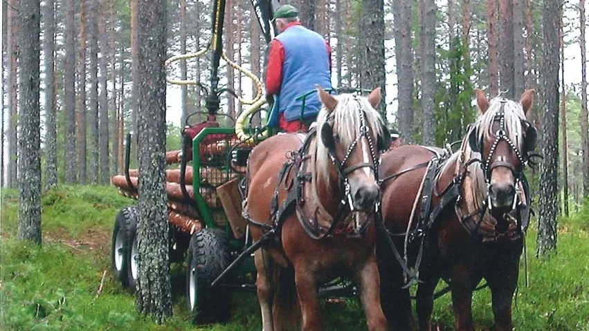 Tvåhundra år med hushållningssällskapet. Numera driver hushållningssällskapet projekt för att stödja skogsägarna, vilket går att läsa i boken Tvåhundraåringen - Hushållningssällskapet i Norrbotten-Västerbotten 1814-2014 med text av Hans Olov Ohlson.