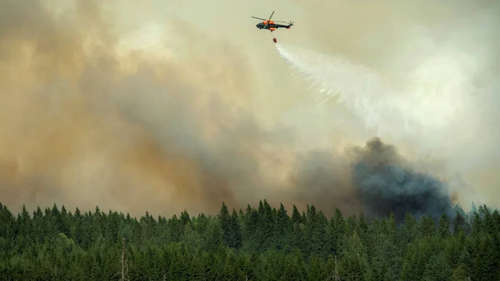 Fortsatt brand. När skogsbranden i Västmanland är släckt måste samhället dra lärdomar.