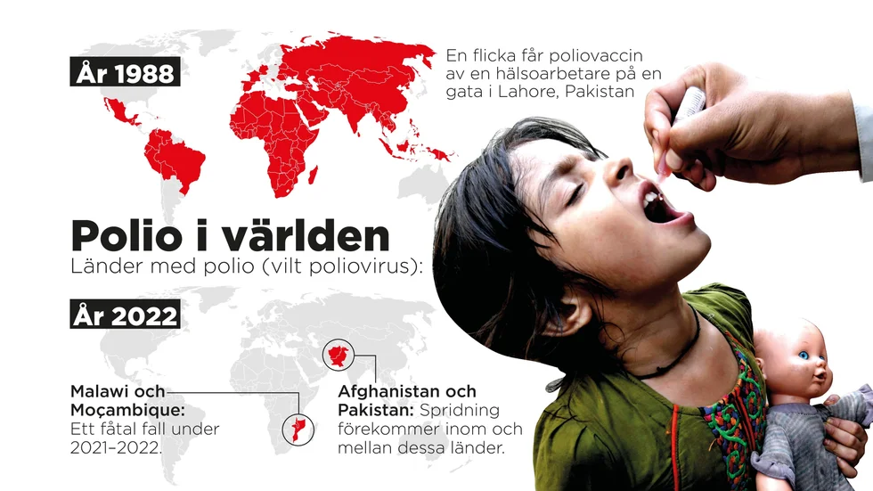 Länder med vilt poliovirus 1988 och 2022.