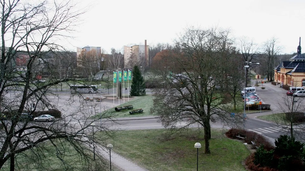 Misshandeln ägde rum i Sveaparken i Flen 2016. Nu har domen fallit.