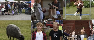 Rivstart för Höslaget i Avan