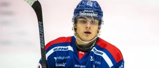 Sudret värvar SHL-meriterad forward • ”En av de spelarna vi vill bygga laget kring”