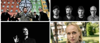 Fullspäckad konserthöst: Här är artisterna som kommer