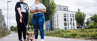 Sensorer ska öka tryggheten • Sätts upp på prov av Uppsalahem ✔ Rök ✔ Doft ✔ Trapphäng