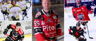 Länets Hockeyettan-gäng på is inom kort - så här är dagsläget i klubbarna
