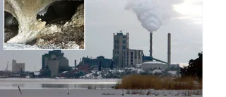 Nu ska Cementa ta prover i Vägumeviken