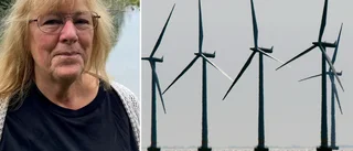 Strandskydd splittrar medan vindkraft skapar mer enighet • Så svarar politikerna i de lokal frågorna