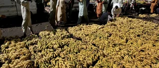 Frihandel, globalisering och minskad fattigdom
