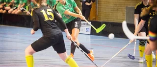 FBC har gjort klart med ny tränare: "Jag gillar fart"