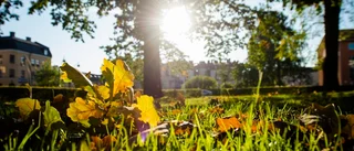 Värmen är tillbaka i Sörmland: "Temperaturer mycket över det normala"