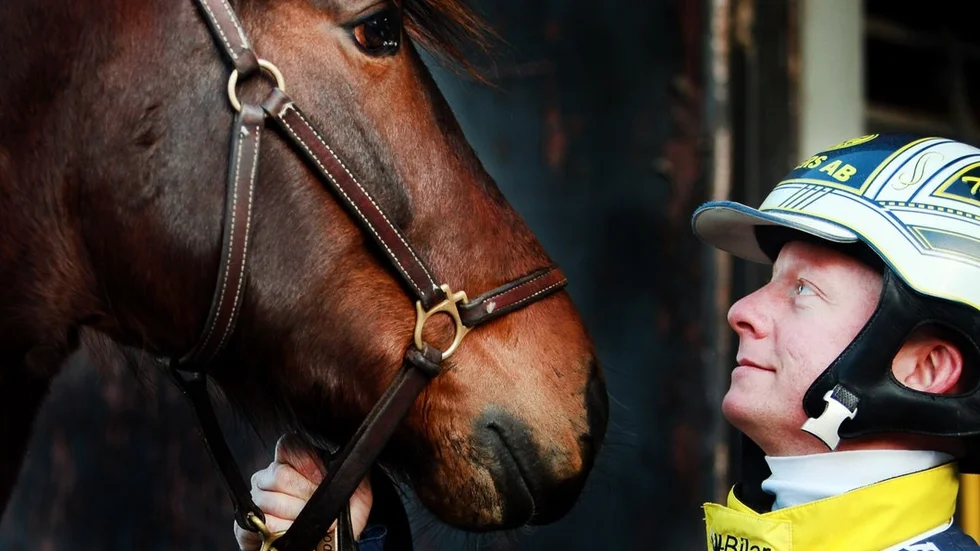Tony Wallin var med om en otäck incident på Mantorpstravet under mån- dagskvällen. Det slutade med luftfärd, hjärnskakning, minneslucka och en rejält mörbultad kropp. (ARKIVFOTO)
