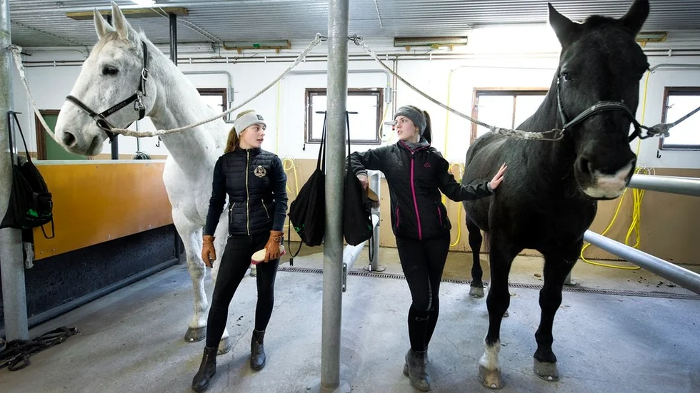 Matilda Adolfsson, elevrådsordförande på Öknaskolan och Emma Gustafsson som sitter i skyddsrådet går båda i trean på Öknaskolan med inriktning på häst . De upplever att stämningen har blivit bättre efter sommarlovet men berättar samtidigt att det finns en machokultur bland killarna och att tjejer ofta ses som sexobjekt.