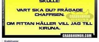 "Trygg hemgång"-ansvarig pekas ut som sexist